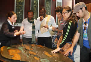 ��ѧ�����ܡ����Ļ���