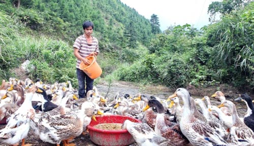 ũ���ҵ�����ϡ�Ѽ˾�