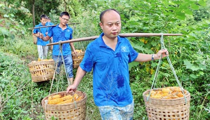 ��ѧ�����æ����