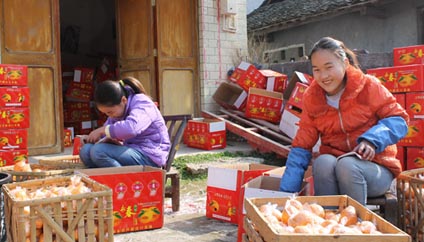 ���Ǽ��кð���