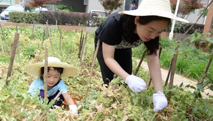 ����Сũ��