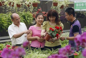 ���Ա���